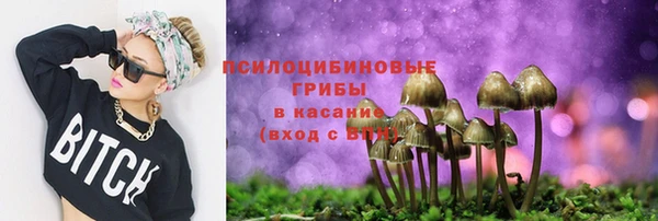 скорость mdpv Белокуриха