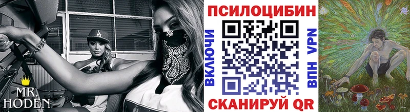 Псилоцибиновые грибы Cubensis  даркнет сайт  Жердевка 